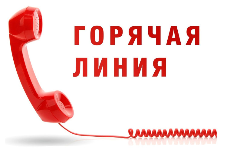 Работа горячей линии.